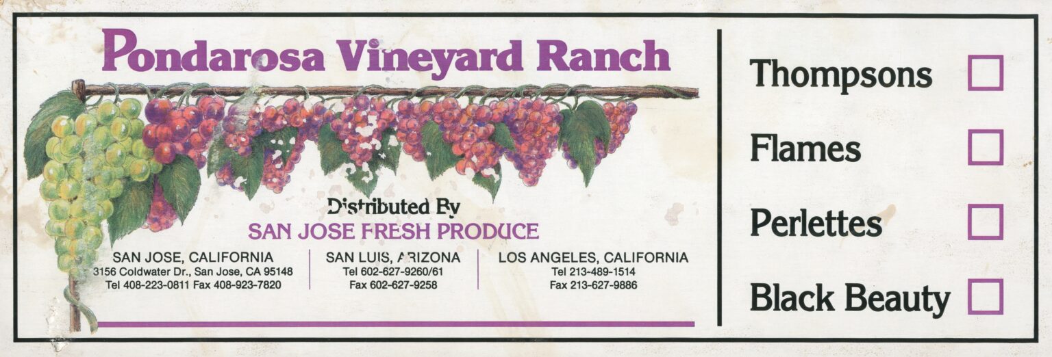 Pondarosa Vineyard Ranch Pondarosa Vineyard Ranch